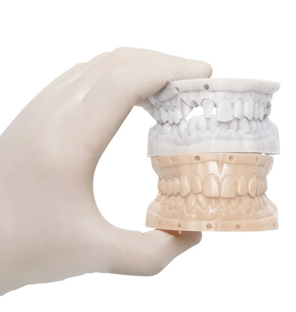 HUGE Dental Model Resin M3.0 (Almond)